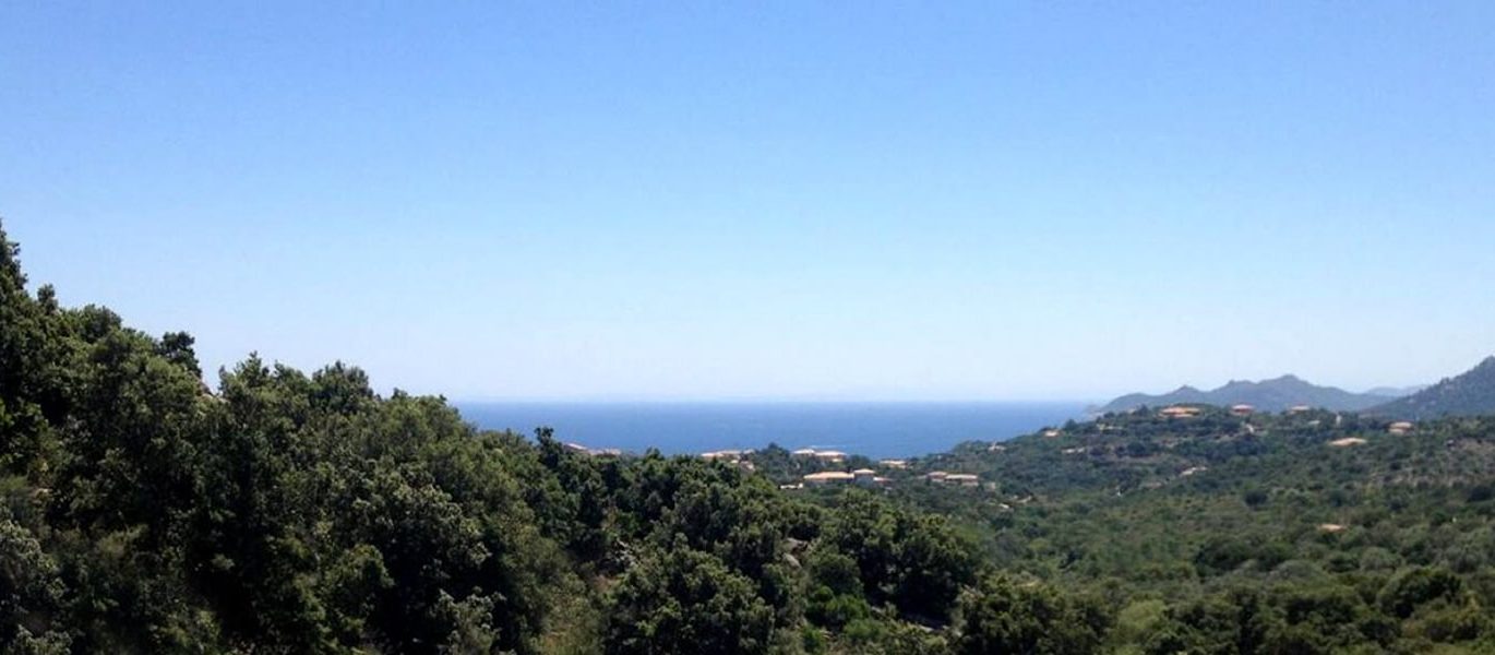 Bocca Del Oro