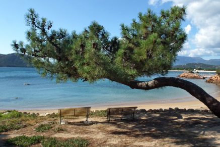 Région de Lecci de Porto-Vecchio