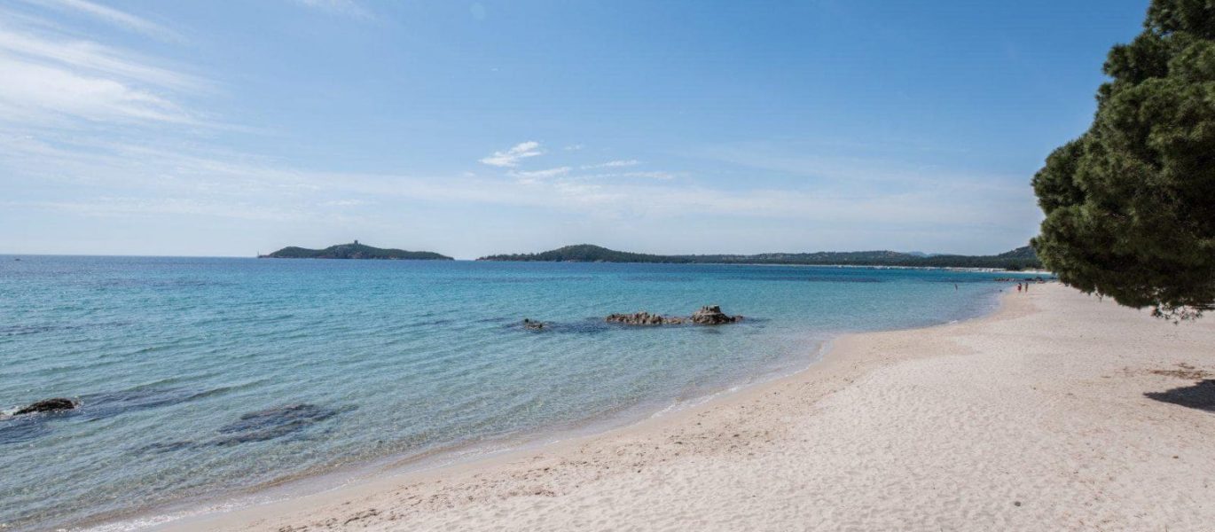 Région de Sainte-Lucie-de-Porto-Vecchio