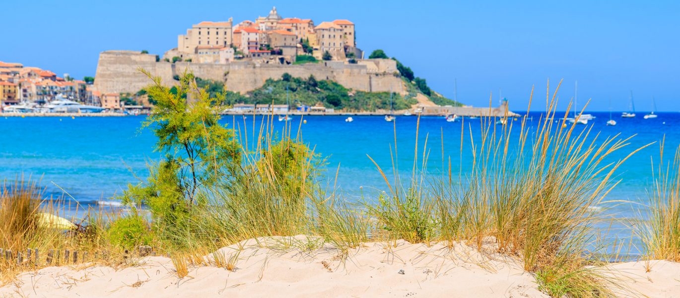 Calvi