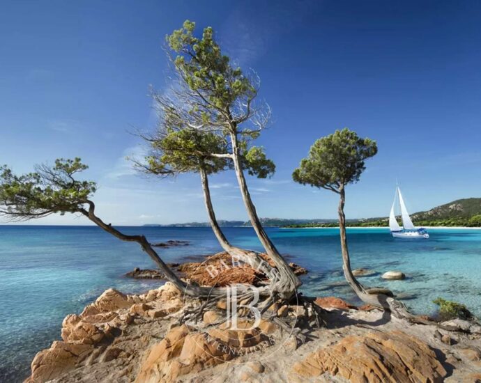 Propriété d’exception, Bergerie, Vue mer Panoramique, Palombaggia