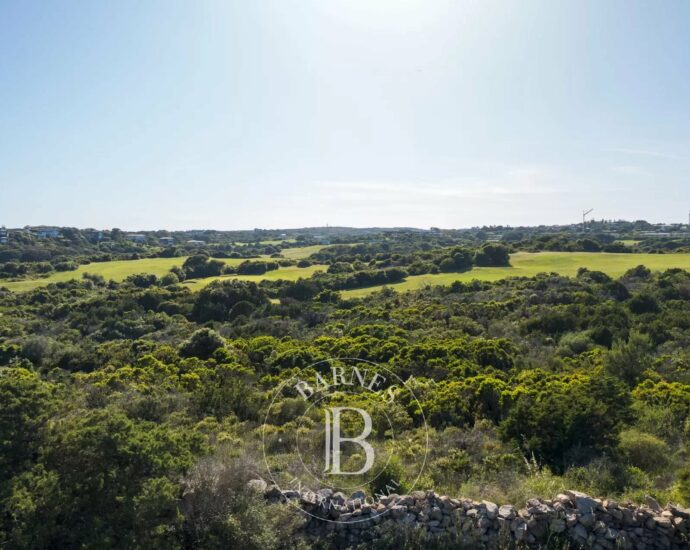 Bonifacio, Piantarella, villa 6 chambres, vue mer, villa l’Acqua di Piana RL287