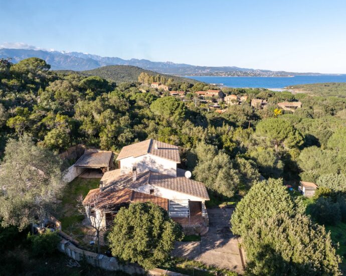 Exclusivité, Palombaggia, Villa, 4 chambres, vue dégagée, proche plage