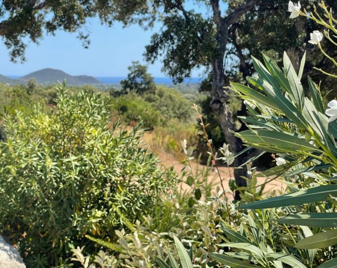 Southern Corsica – Single-Story Villa with Pool and Mountain Views Near Pinarello Beach