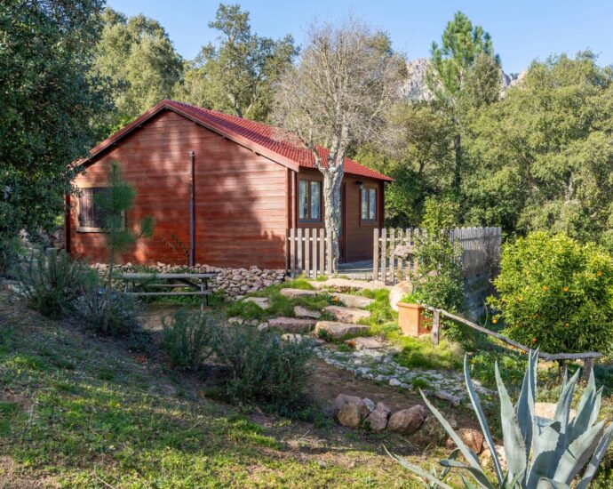 Conca, Villa type Bergerie, 4 chambres, dépendance, piscine, vue montagnes