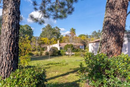 Pianelli, Porto-Vecchio, Villa de plain-pied, 4 chambres, piscine, vue montagnes, environnement préservé