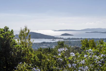 Porto -Vecchio, Arasu, Cirindinu, villa 3 chambres, piscine, vue mer panoramique, proche plage