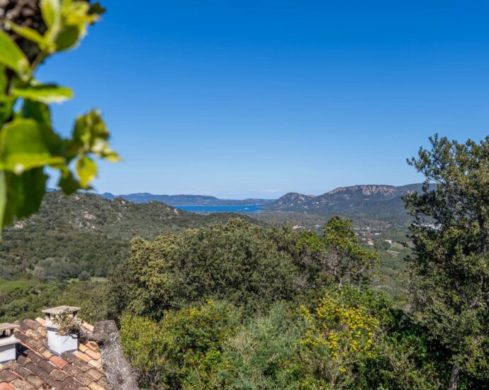 Porto-Vecchio, Villa, Piscine, 6 chambres