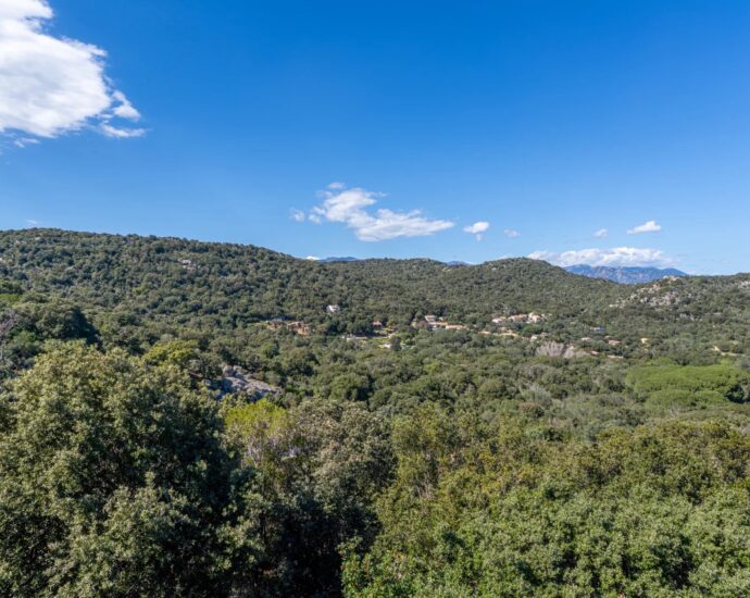 Porto-Vecchio, Villa, Piscine, 6 chambres