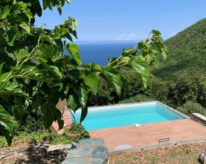 Maison, San Martino Di Lota, Erbalunga, Bastia, 5 chambres, piscine, vue mer