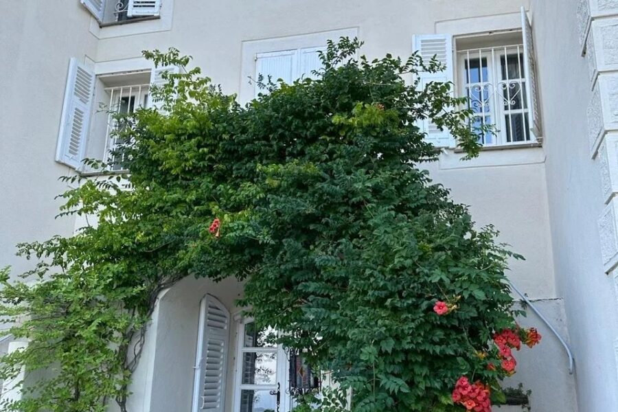 Maison, San Martino Di Lota, Erbalunga, Bastia, 5 chambres, piscine, vue mer