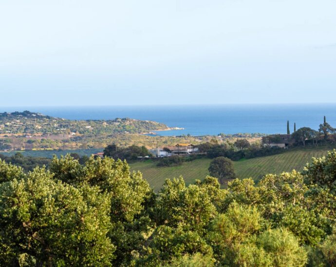 Trinité-de-Porto-Vecchio, Villa 5 chambres, piscine, vue mer