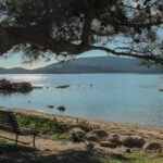 Porto-Vecchio, Domaine de Cala Rossa, appartement 1 chambre, plage à pied