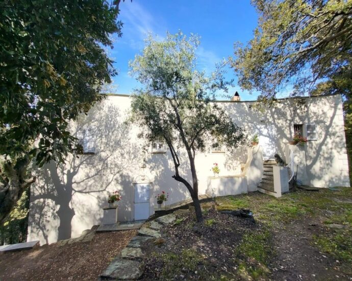 Maison, San Martino Di Lota, Erbalunga, Bastia, 5 chambres, piscine, vue mer