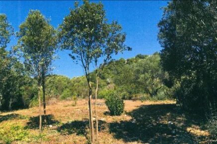 BONIFACIO – Terrain  avec permis de construire – Plage à pieds