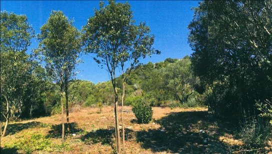 BONIFACIO – Terrain  avec permis de construire – Plage à pieds