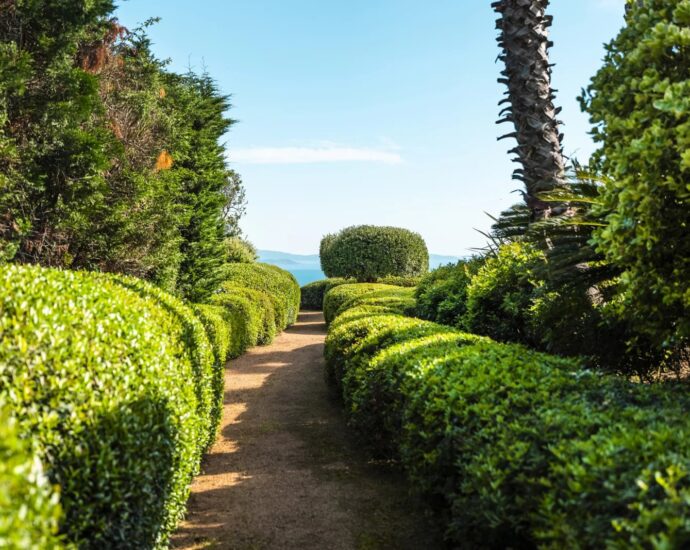 Exclusivité, Ajaccio, Villa, 4 chambres, vue mer panoramique, piscine