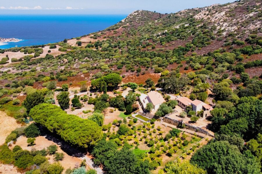 Lumio, charming estate in the heart of nature, sea view