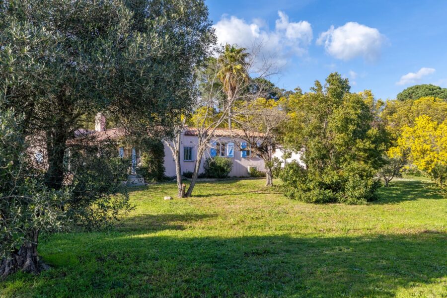Pianelli, Porto-Vecchio, Villa de plain-pied, 4 chambres, piscine, vue montagnes, environnement préservé