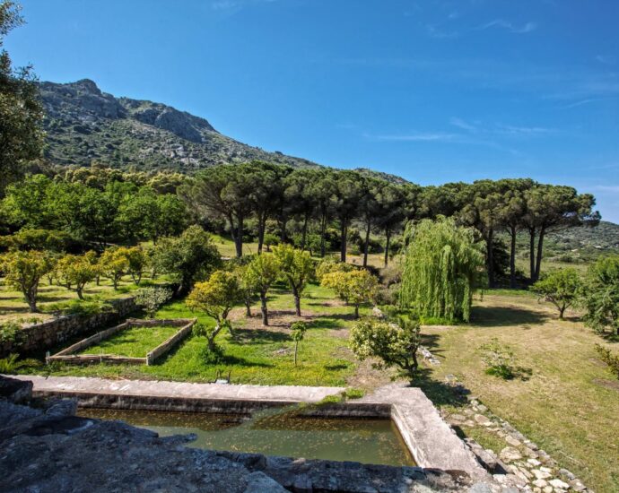 Lumio, charming estate in the heart of nature, sea view
