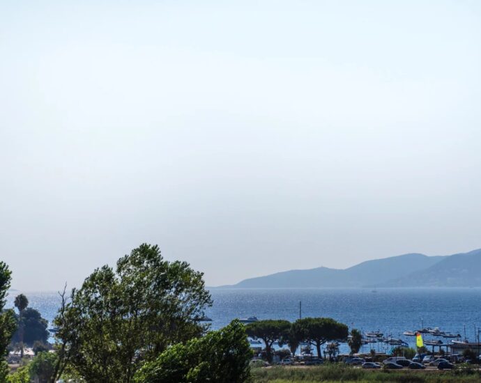 Porticcio, Appartement, 2 chambres, vue mer panoramique, proche plages