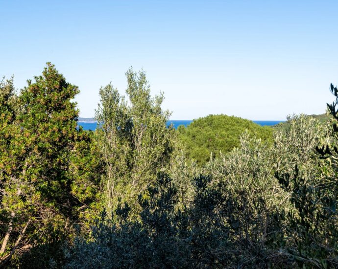 Exclusive – Palombaggia – Villa – 4 Bedrooms – Open View – Close to the Beach