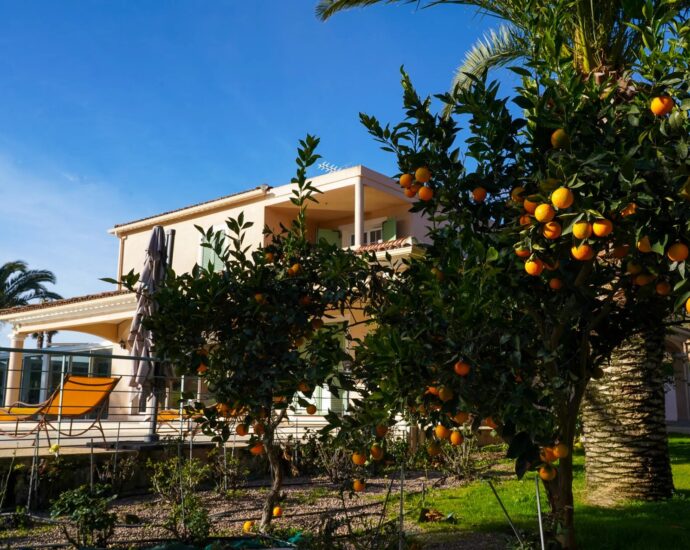 Proche Ajaccio, Alata, vue mer panoramique, 5 chambres