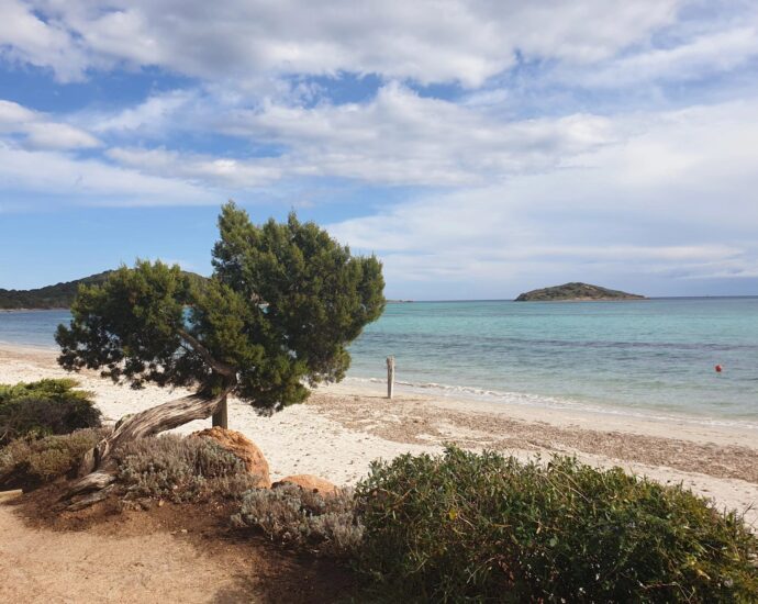 Arasu – Terrain d’environ 2 499 m² avec permis de construire et plage à pied