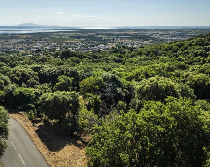 Borgo, plot, 43,056 sq.ft, permit for 5,382 sq.ft architect-designed villa, sea view