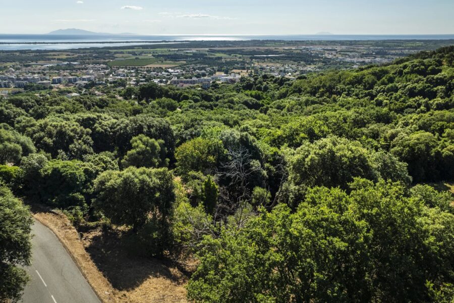 Borgo, plot, 43,056 sq.ft, permit for 5,382 sq.ft architect-designed villa, sea view