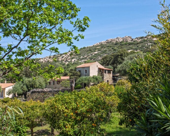 Lumio, charming estate in the heart of nature, sea view