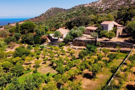 Lumio, charming estate in the heart of nature, sea view