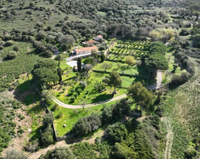 Lumio, charming estate in the heart of nature, sea view