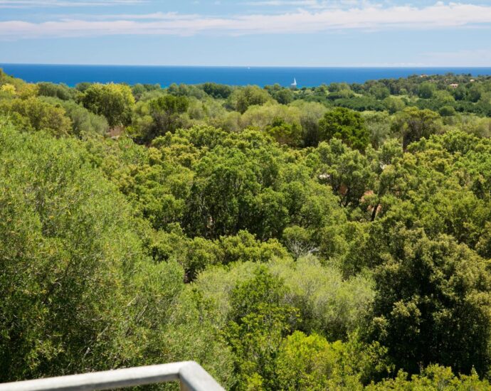 SOUTH CORSICA- MODERN VILLA –  5 BEDROOMS – POOL – SEA VIEW – NEAR FAUTEA BEACH