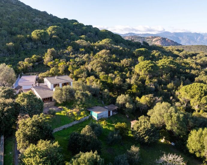 Exclusive – Palombaggia – Villa – 4 Bedrooms – Open View – Close to the Beach
