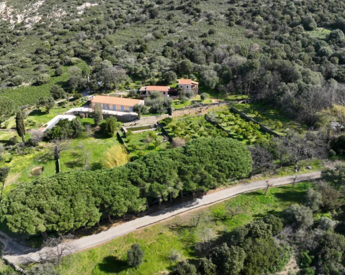 Lumio, charming estate in the heart of nature, sea view