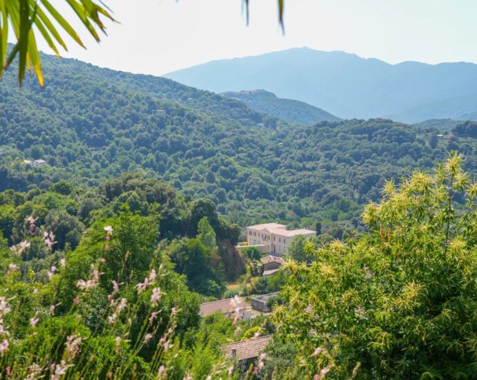 Ucciani, 3-Bedroom Villa with Panoramic Mountain Views