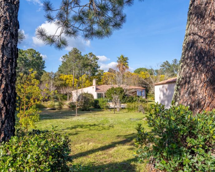 Pianelli, Porto-Vecchio, Villa de plain-pied, 4 chambres, piscine, vue montagnes, environnement préservé