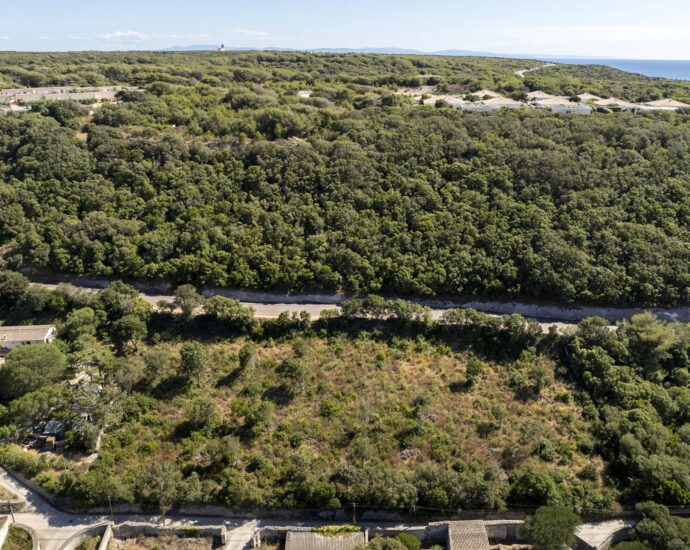 BONIFACIO, Terrain constructible, Permis de construire