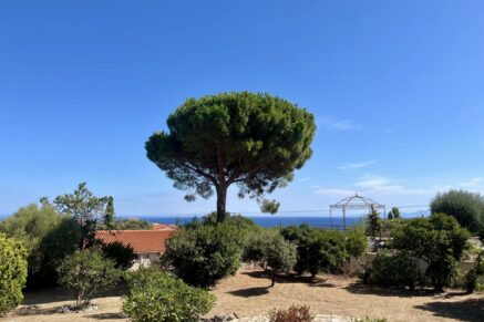 Exclusive, Monticello, villa, 3 bedrooms, sea view
