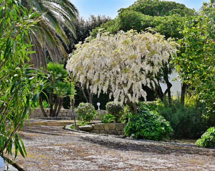 Exclusivité, Pietrosella, Presqu’île de l’Isolella, Villa plage à pieds, 7 chambres, aperçu mer