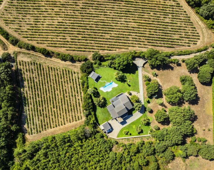Patrimonio, villa d’architecte, 4 chambres, proche plage