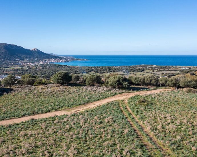 Corbara, building plot with planning permission, sea and mountain views