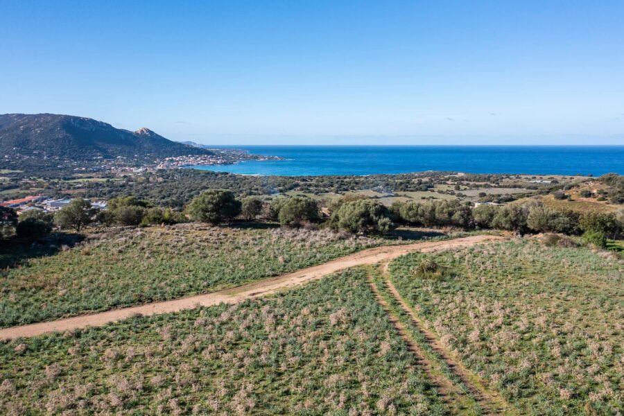 Corbara, terrain constructible avec permis de construire, vue mer et montagnes