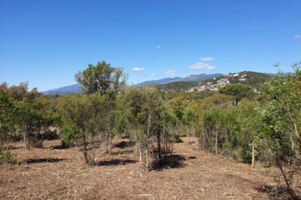 Sainte-Lucie de Porto-Vecchio, Arasu , serviced land close to the beaches