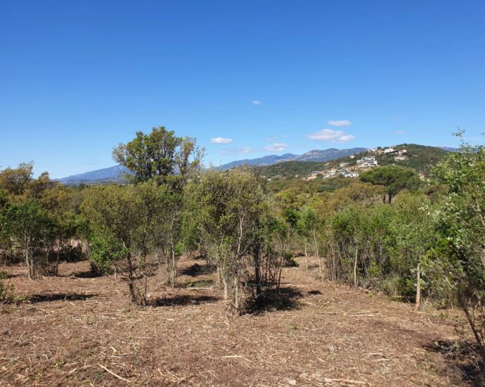 Sainte-Lucie de Porto-Vecchio, Arasu , serviced land close to the beaches