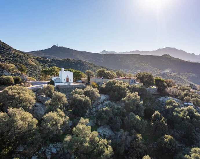 Corbara, terrain constructible avec permis de construire, vue mer et montagnes