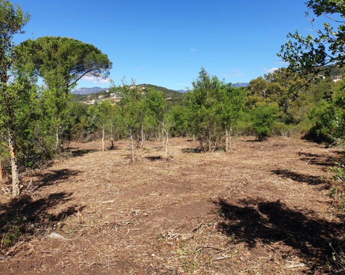 Sainte-Lucie de Porto-Vecchio, Arasu , serviced land close to the beaches