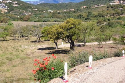 Sainte-Lucie de Porto-Vecchio, Arasu , serviced land close to the beaches