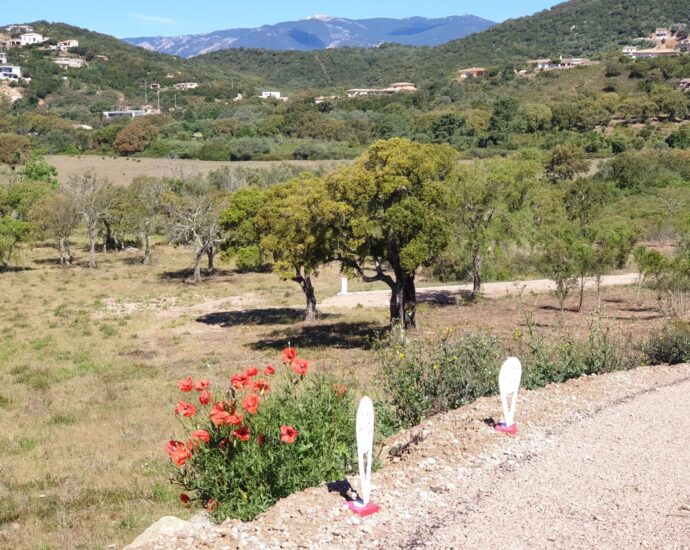 Sainte-Lucie de Porto-Vecchio, Arasu , serviced land close to the beaches